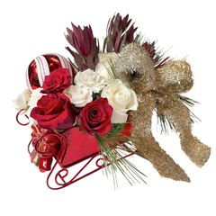 Stems Express Flower Sleigh