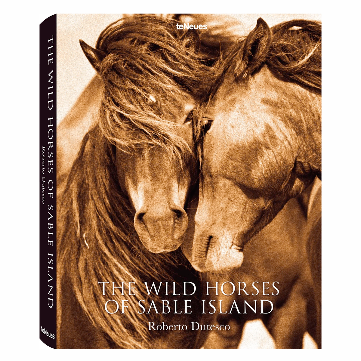 The Wild Horses of Sable Island, TENEUES - RSVP Style