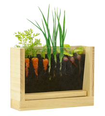 Growing Garden Root Viewer, RSVP Style - RSVP Style