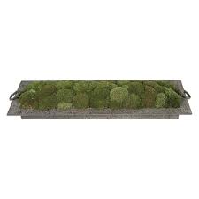 Preserved Moss Tray - RSVP Style