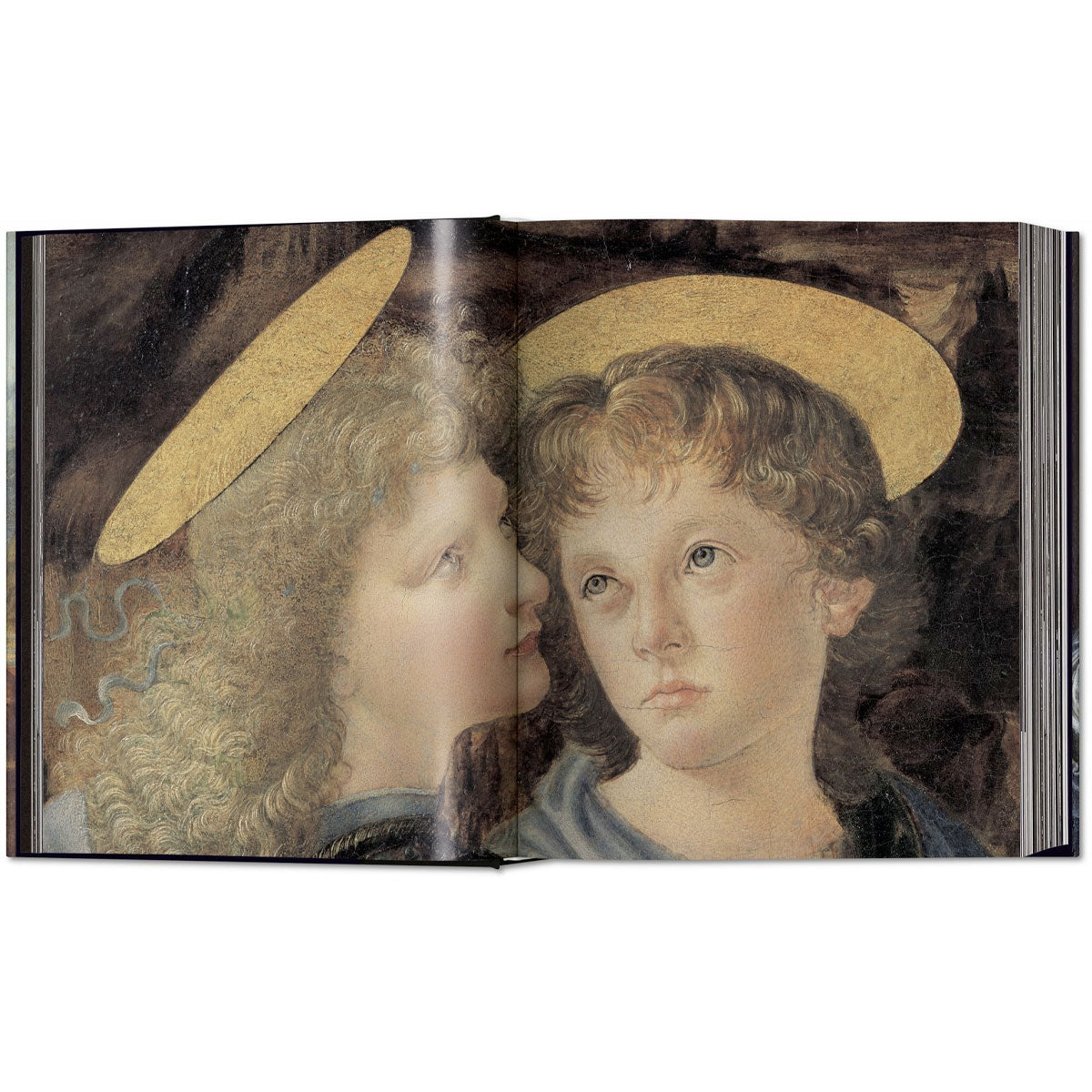 Leonardo: The Complete Paintings and Drawings - RSVP Style